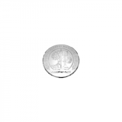 Znak / Logo na TOUCHPAD s ovladačem AMG - stříbrný (chromový) (29mm)